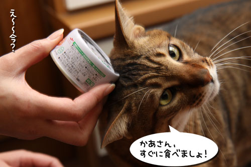 ホスピタルズの正式譲渡_d0355333_19261398.jpg