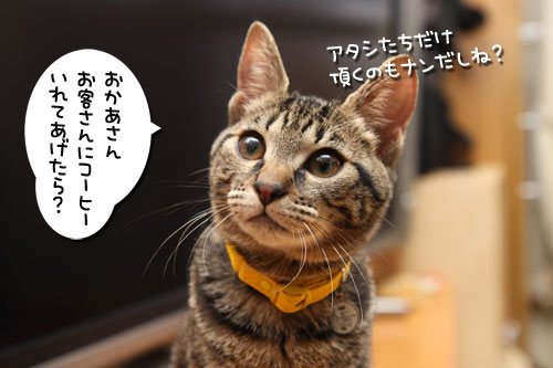 ホスピタルズの正式譲渡_d0355333_19261457.jpg