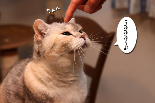 朝の恒例行事_d0355333_19261873.jpg