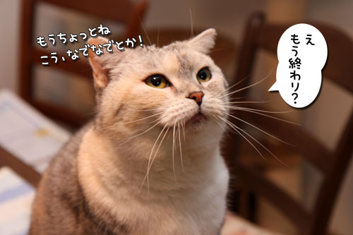 朝の恒例行事_d0355333_19261899.jpg