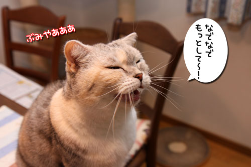 朝の恒例行事_d0355333_19261955.jpg