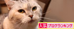 朝の恒例行事_d0355333_19262091.jpg