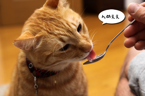 おいしいお顔につい・・・_d0355333_19262992.jpg