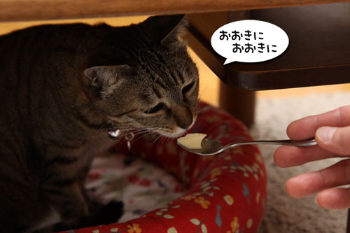 おいしいお顔につい・・・_d0355333_19263045.jpg