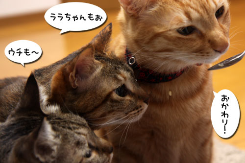 おいしいお顔につい・・・_d0355333_19263070.jpg