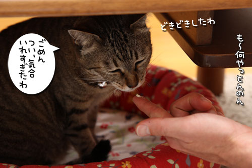 おいしいお顔につい・・・_d0355333_19263122.jpg