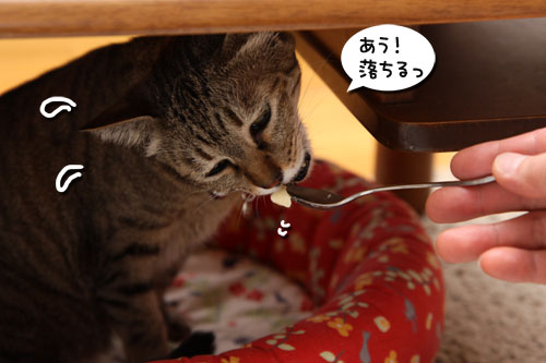 おいしいお顔につい・・・_d0355333_19263173.jpg
