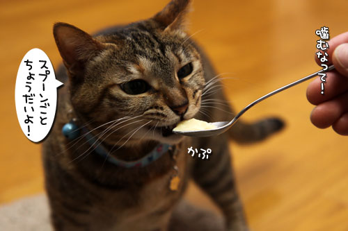 おいしいお顔につい・・・_d0355333_19263266.jpg