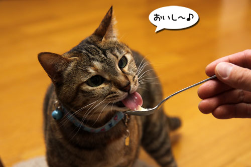 おいしいお顔につい・・・_d0355333_19263284.jpg
