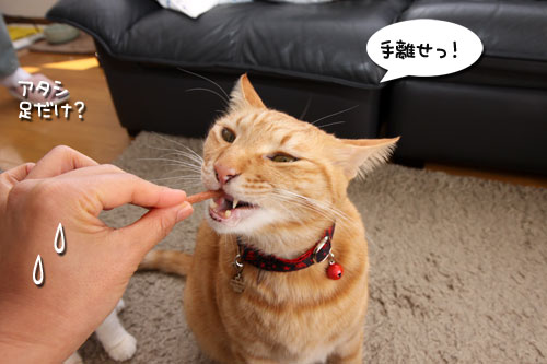 好きなおやつは何ですか?_d0355333_19263753.jpg