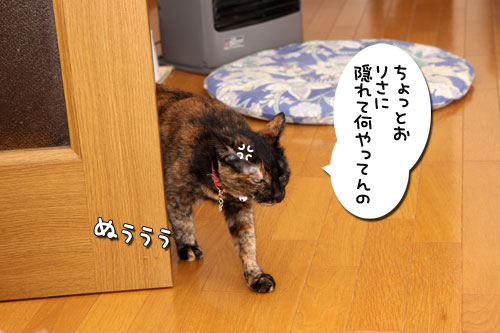 好きなおやつは何ですか?_d0355333_19263780.jpg