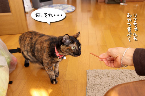 好きなおやつは何ですか?_d0355333_19263859.jpg