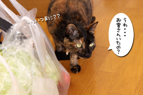好きなおやつは何ですか?_d0355333_19263892.jpg