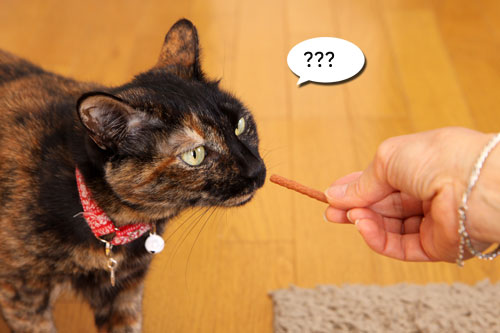 好きなおやつは何ですか?_d0355333_19263954.jpg