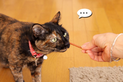 好きなおやつは何ですか?_d0355333_19263988.jpg