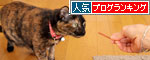 好きなおやつは何ですか?_d0355333_19264116.jpg