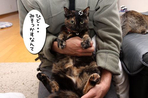 神さまがくれた不思議柄_d0355333_19264503.jpg