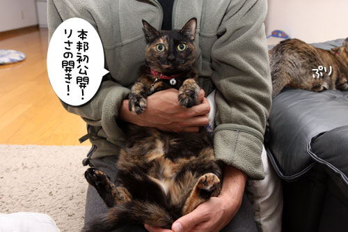 神さまがくれた不思議柄_d0355333_19264548.jpg