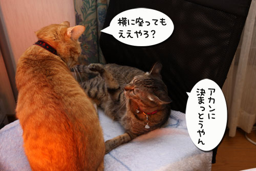 独り占めには出来ず。_d0355333_19270093.jpg