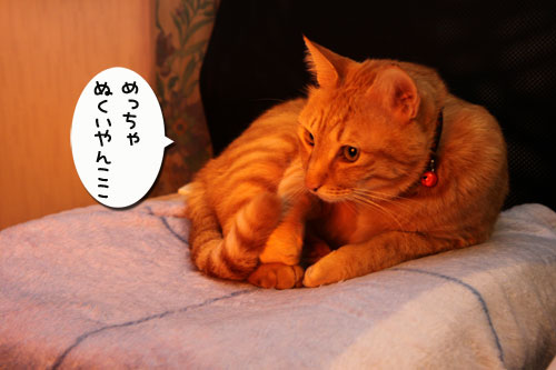 独り占めには出来ず。_d0355333_19270111.jpg