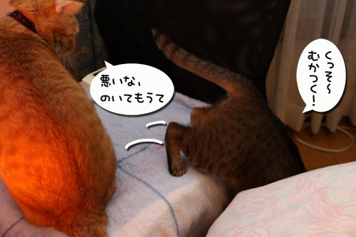 独り占めには出来ず。_d0355333_19270151.jpg