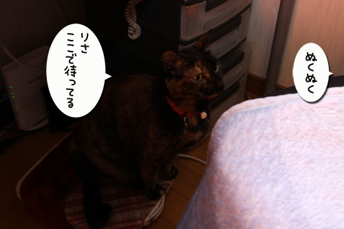 独り占めには出来ず。_d0355333_19270196.jpg