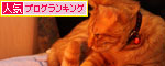 独り占めには出来ず。_d0355333_19270241.jpg