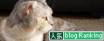 ちょびまみ昔話_d0355333_19270898.jpg