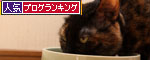 野鳥とにゃんこ_d0355333_19271676.jpg