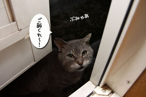 ぐれ隊長の近況_d0355333_19273010.jpg