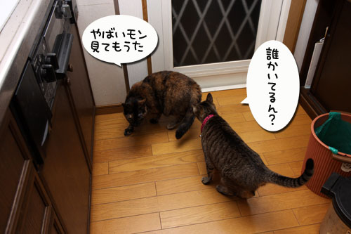 ぐれ隊長の近況_d0355333_19273115.jpg