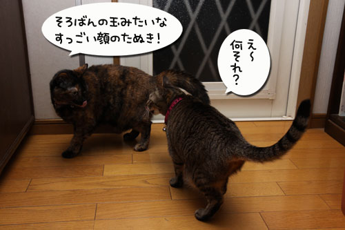 ぐれ隊長の近況_d0355333_19273256.jpg