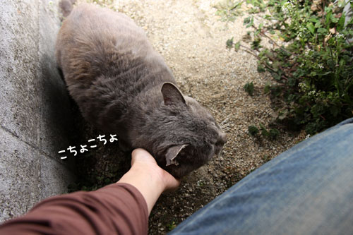 一触即発?!_d0355333_19273662.jpg