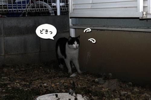 一触即発?!_d0355333_19273835.jpg