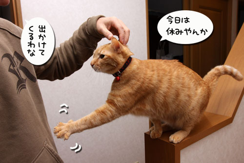 男同士の約束。_d0355333_19274148.jpg