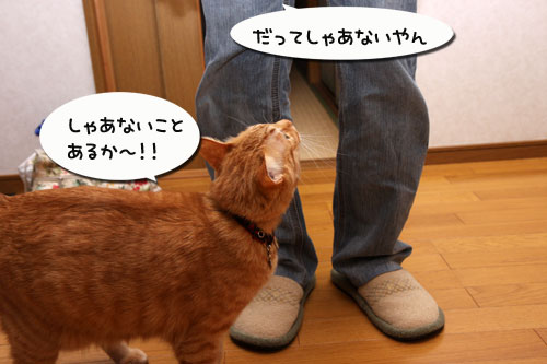 男同士の約束。_d0355333_19274385.jpg