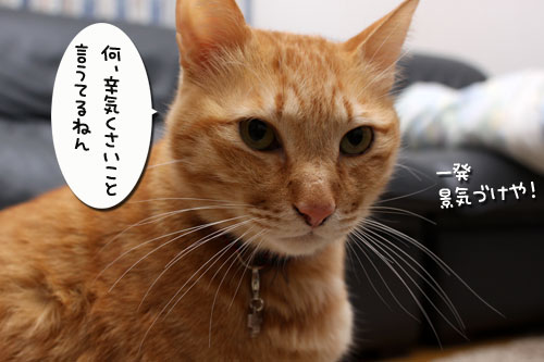 ちゃとらん流元気づけ技_d0355333_19274505.jpg