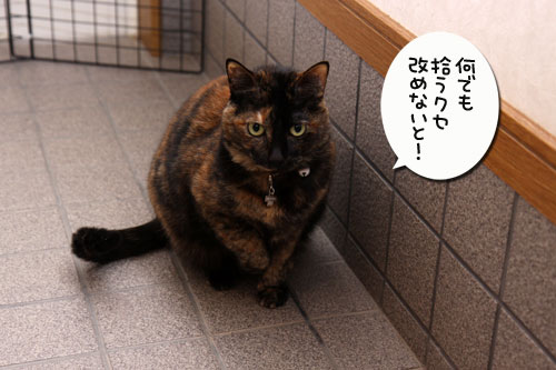 不気味なみかん箱_d0355333_19275012.jpg