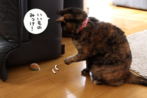 ソファの下から_d0355333_19280004.jpg