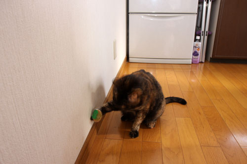 ソファの下から_d0355333_19280029.jpg