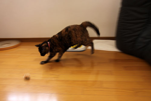 ソファの下から_d0355333_19280066.jpg
