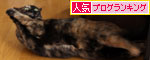 ソファの下から_d0355333_19280104.jpg