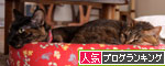 のんびり猫に学ぶこと_d0355333_19280439.jpg