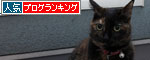 ベランダの主_d0355333_19283039.jpg