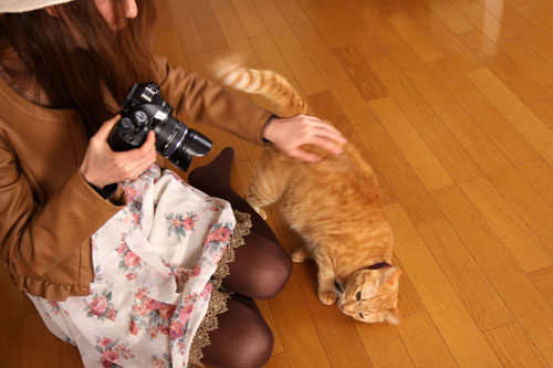 にゃんず家流お客様のもてなし方_d0355333_19284395.jpg