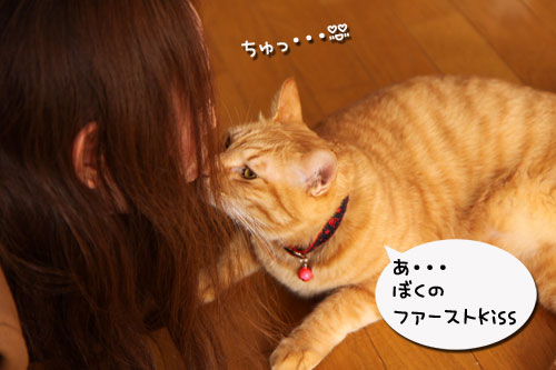 にゃんず家流お客様のもてなし方_d0355333_19284478.jpg