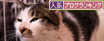 追いつかない!_d0355333_19285821.jpg
