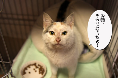 追いつかない!_d0355333_19290104.jpg
