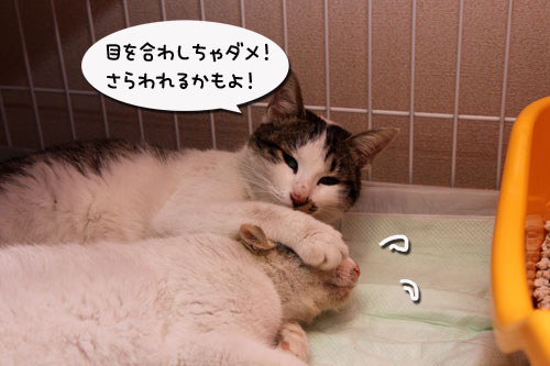 母から子へ伝授_d0355333_19290415.jpg