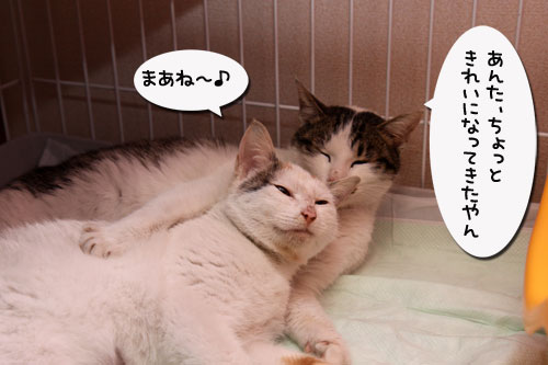 母から子へ伝授_d0355333_19290516.jpg